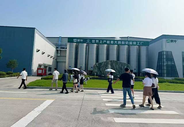 企业参访游学活动-企业团队走进武汉蒙牛参观学习